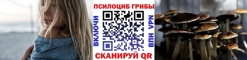 где купить наркоту  Обоянь  Псилоцибиновые грибы прущие грибы 